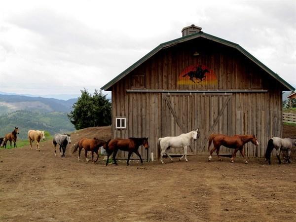 Bull Hill Guest Ranch Marble Exterior foto