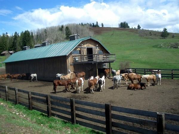 Bull Hill Guest Ranch Marble Exterior foto